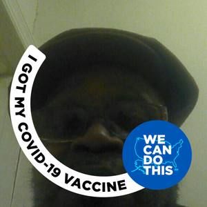 Meet your Posher, Larry